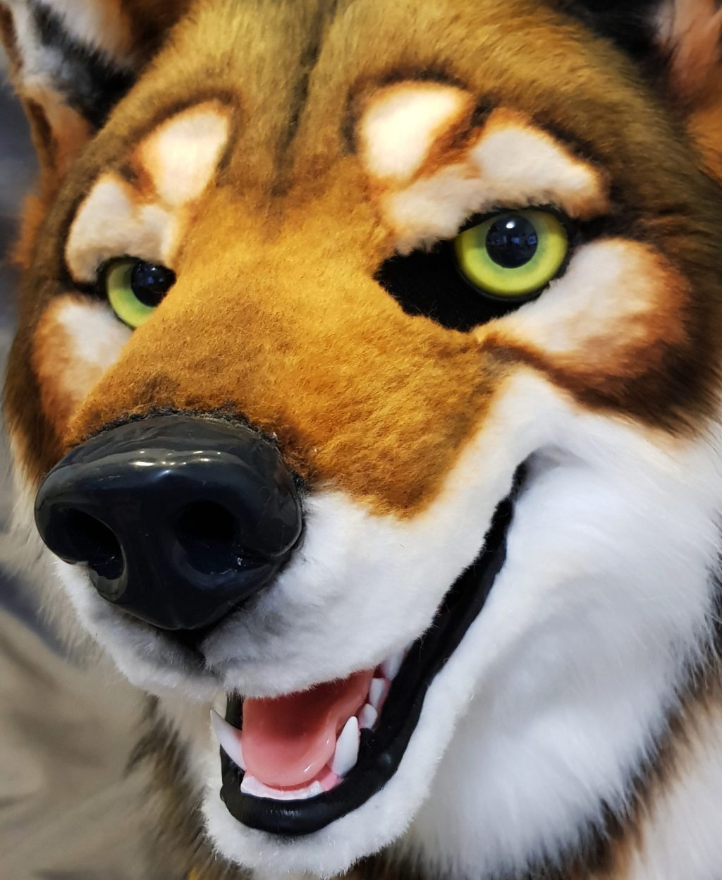 CRINSY Custom Fursuits and Fursuit Parts