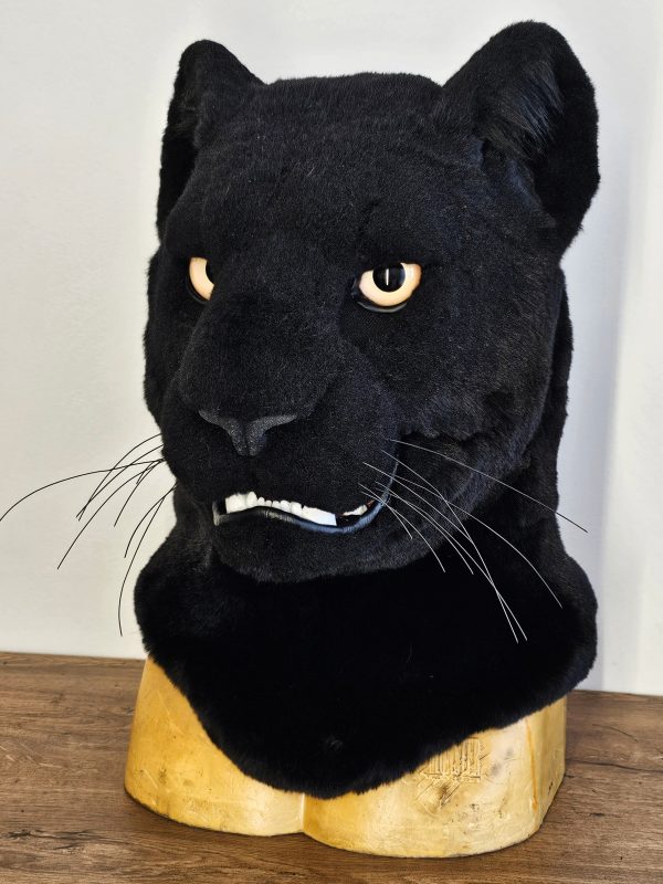 Black panther fursuit head - Image 4