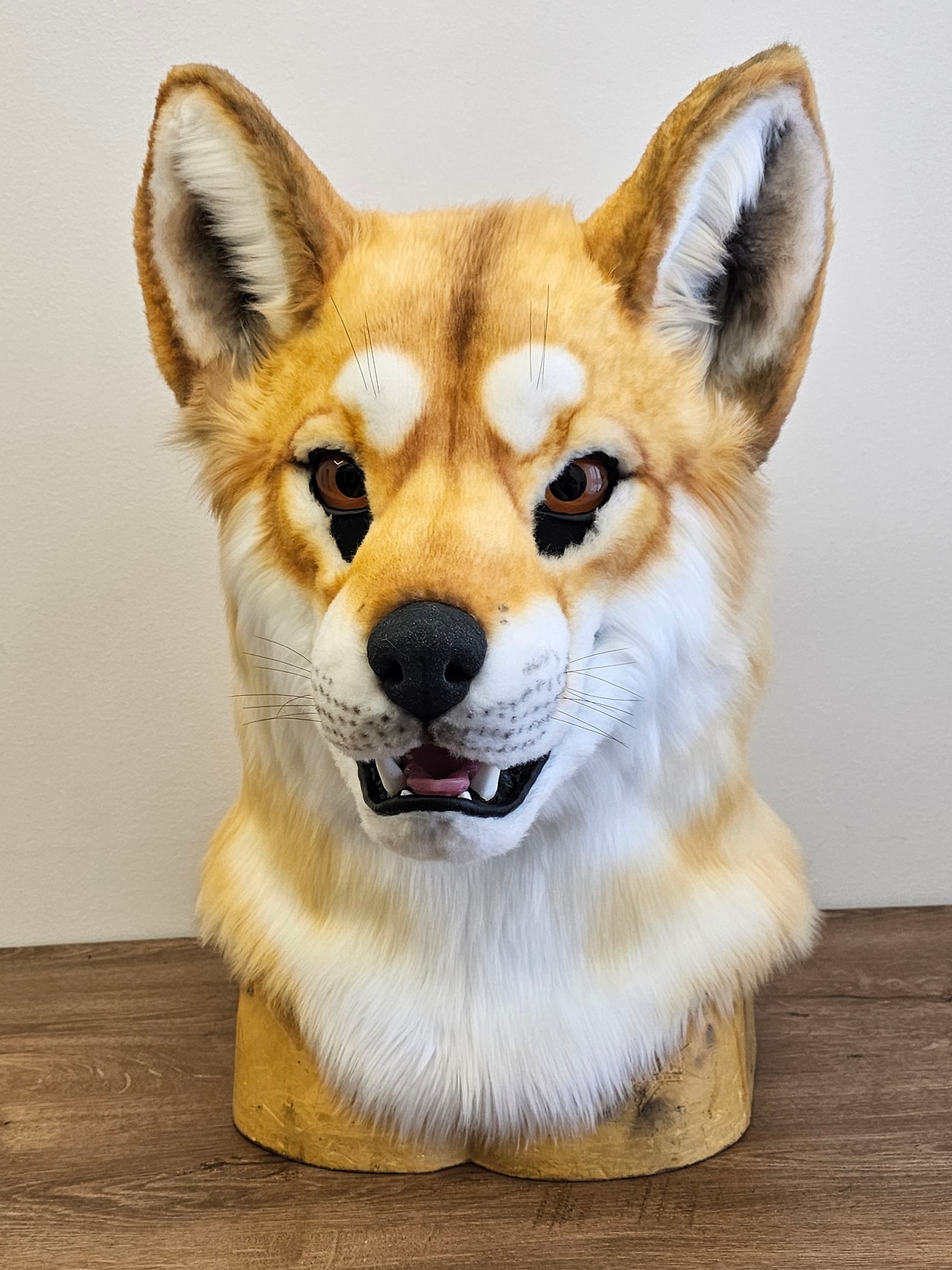 Dingo Wolf Fursuit Head - Image 4