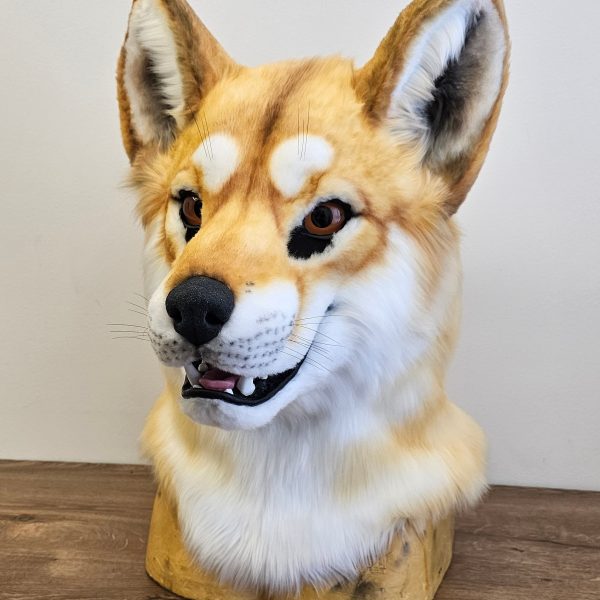 Dingo Wolf Fursuit Head