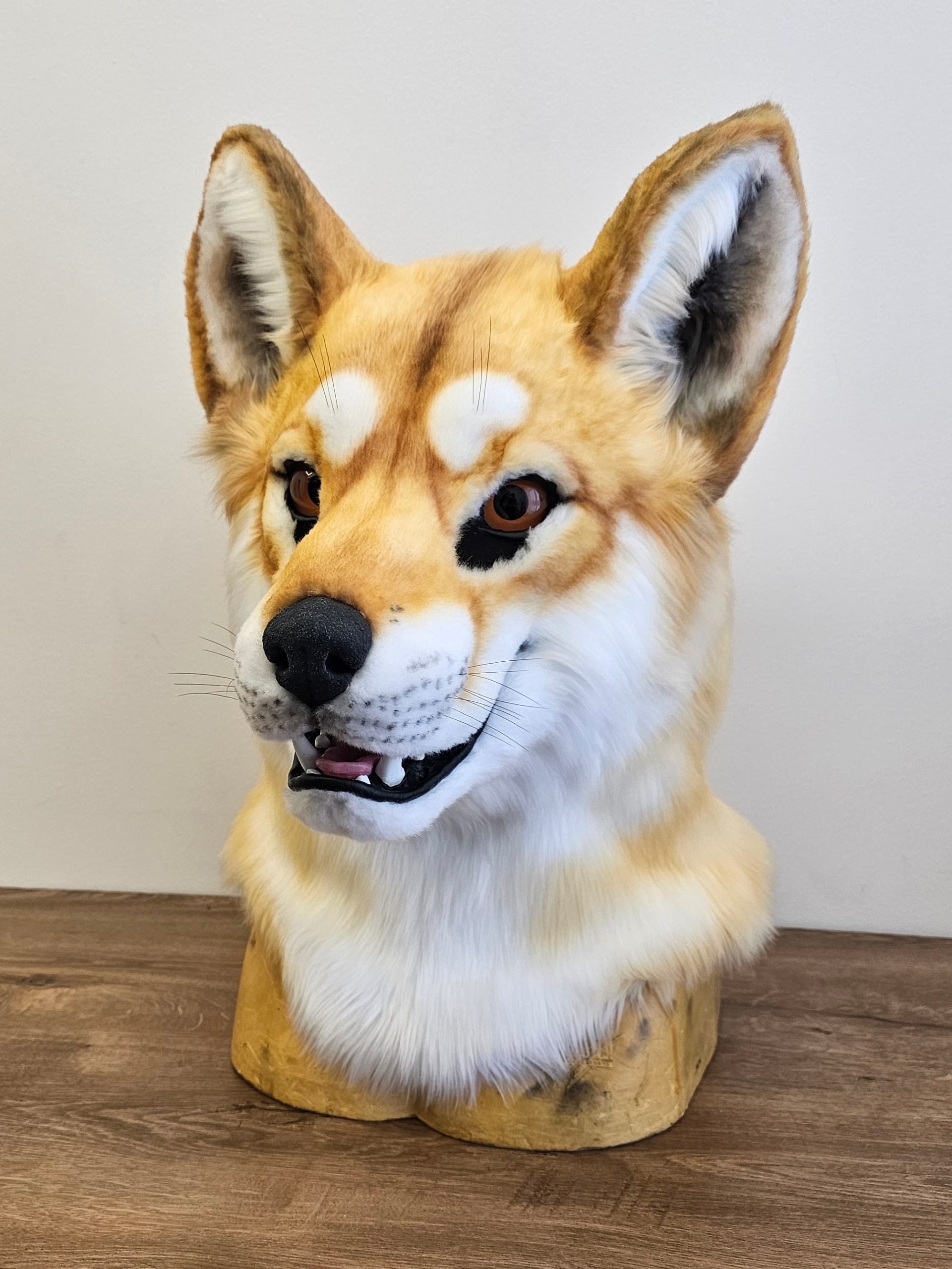 Dingo Wolf Fursuit Head