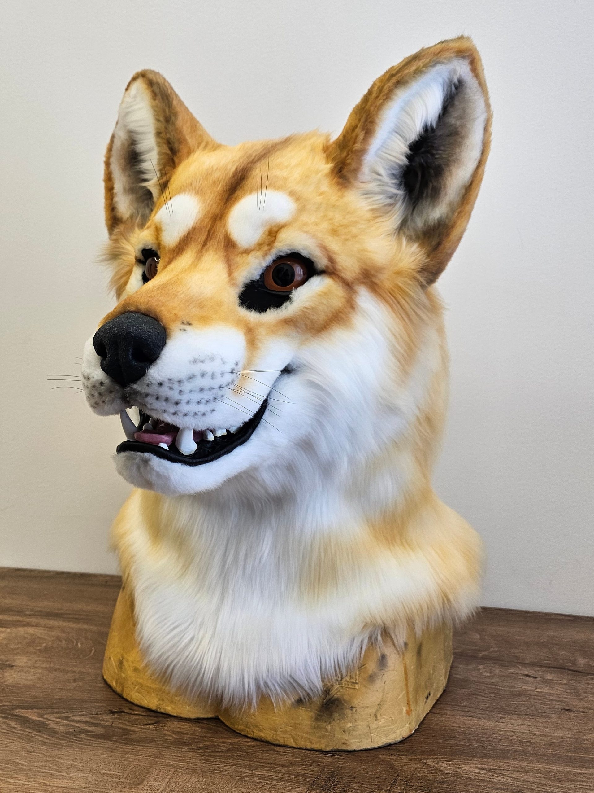 Dingo Wolf Fursuit Head - Image 3