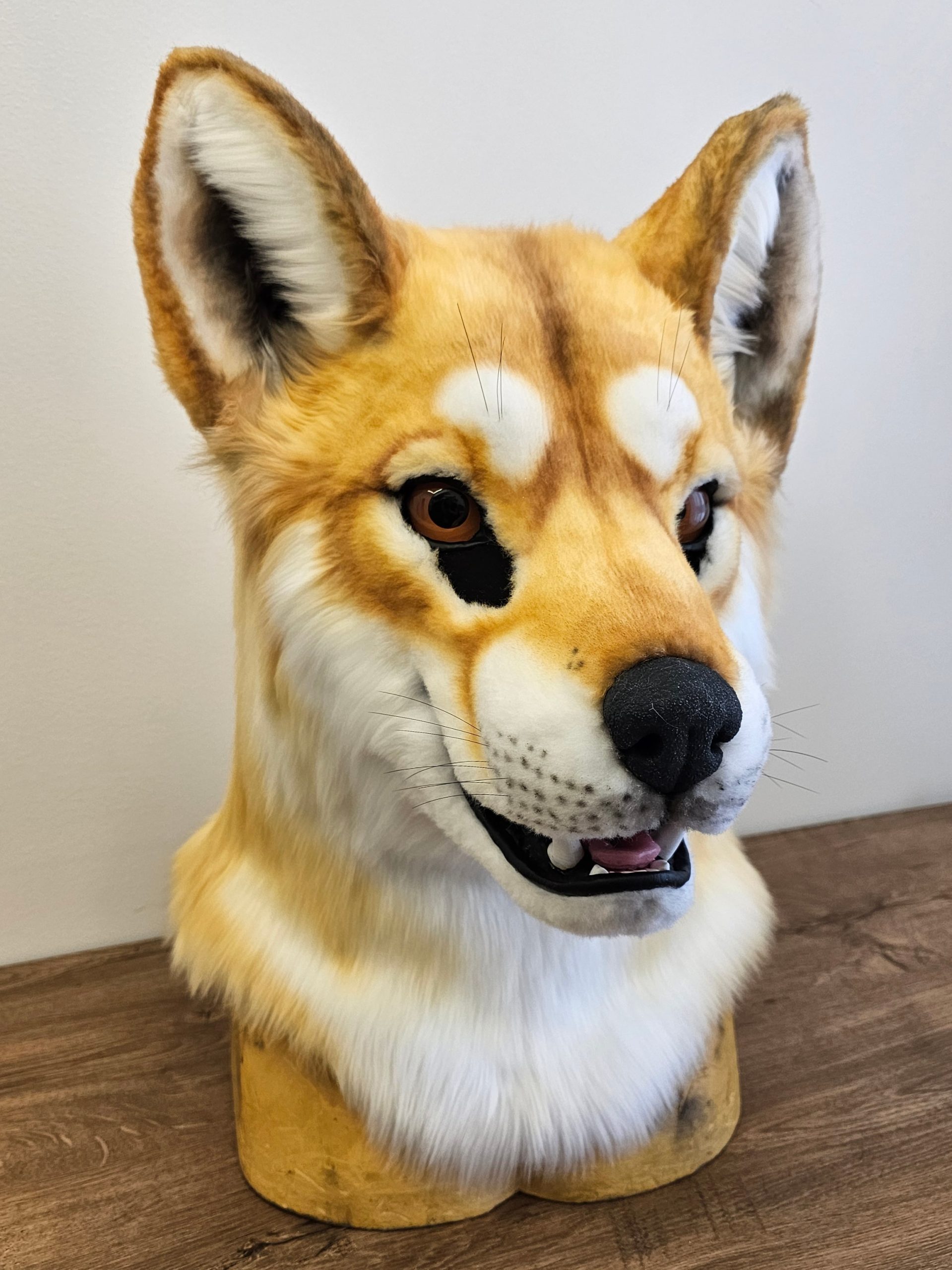 Dingo Wolf Fursuit Head - Image 5