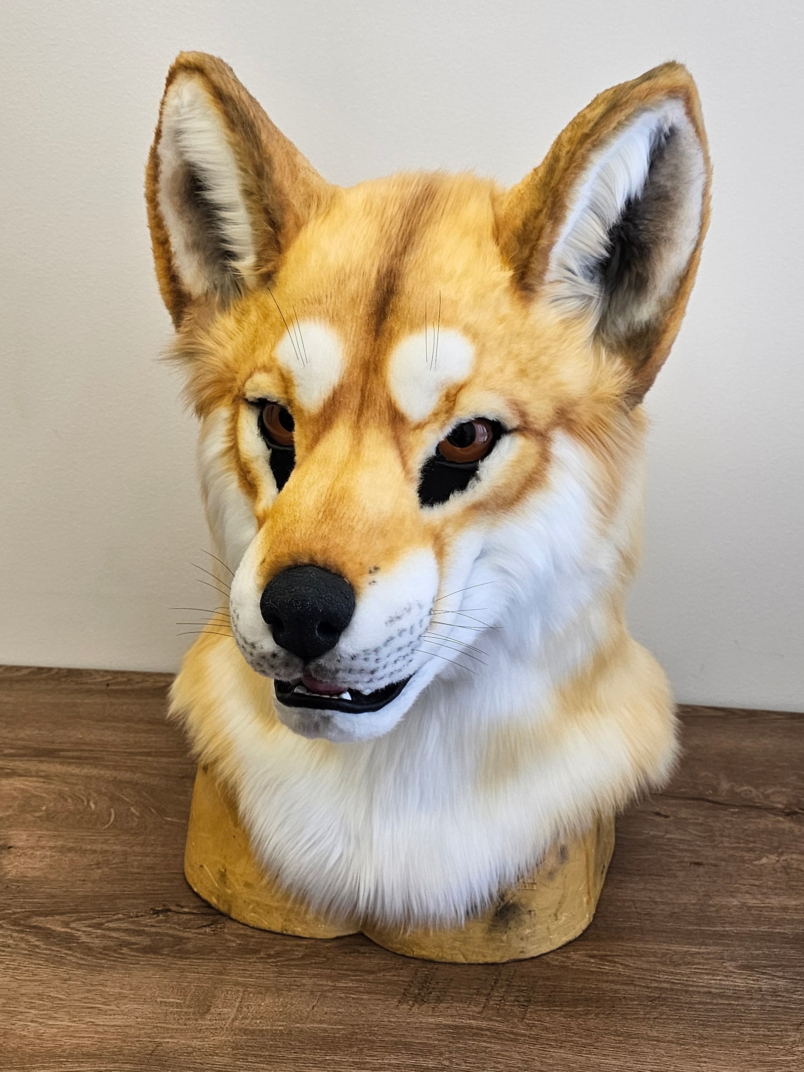 Dingo Wolf Fursuit Head - Image 7