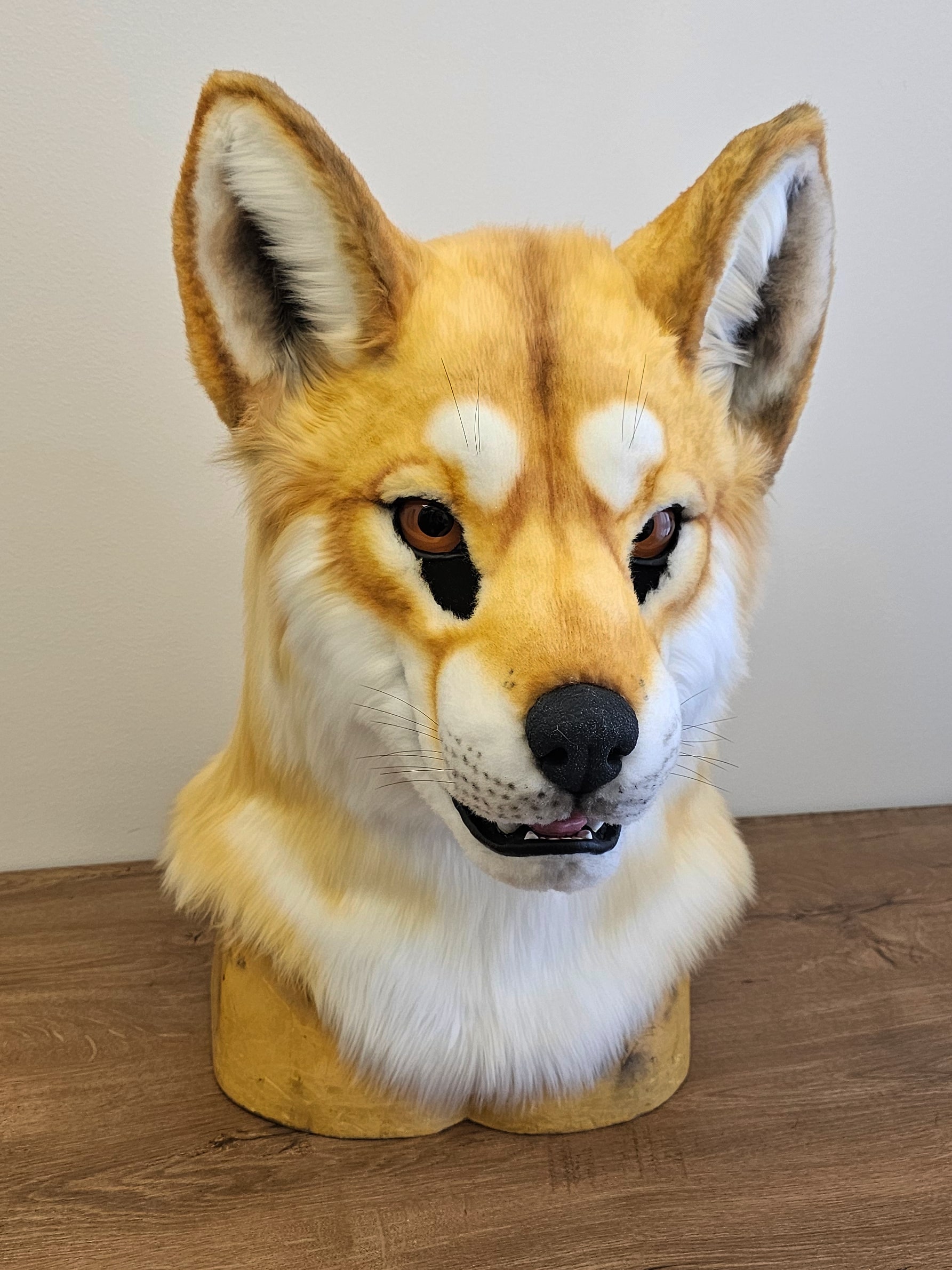 Dingo Wolf Fursuit Head - Image 8