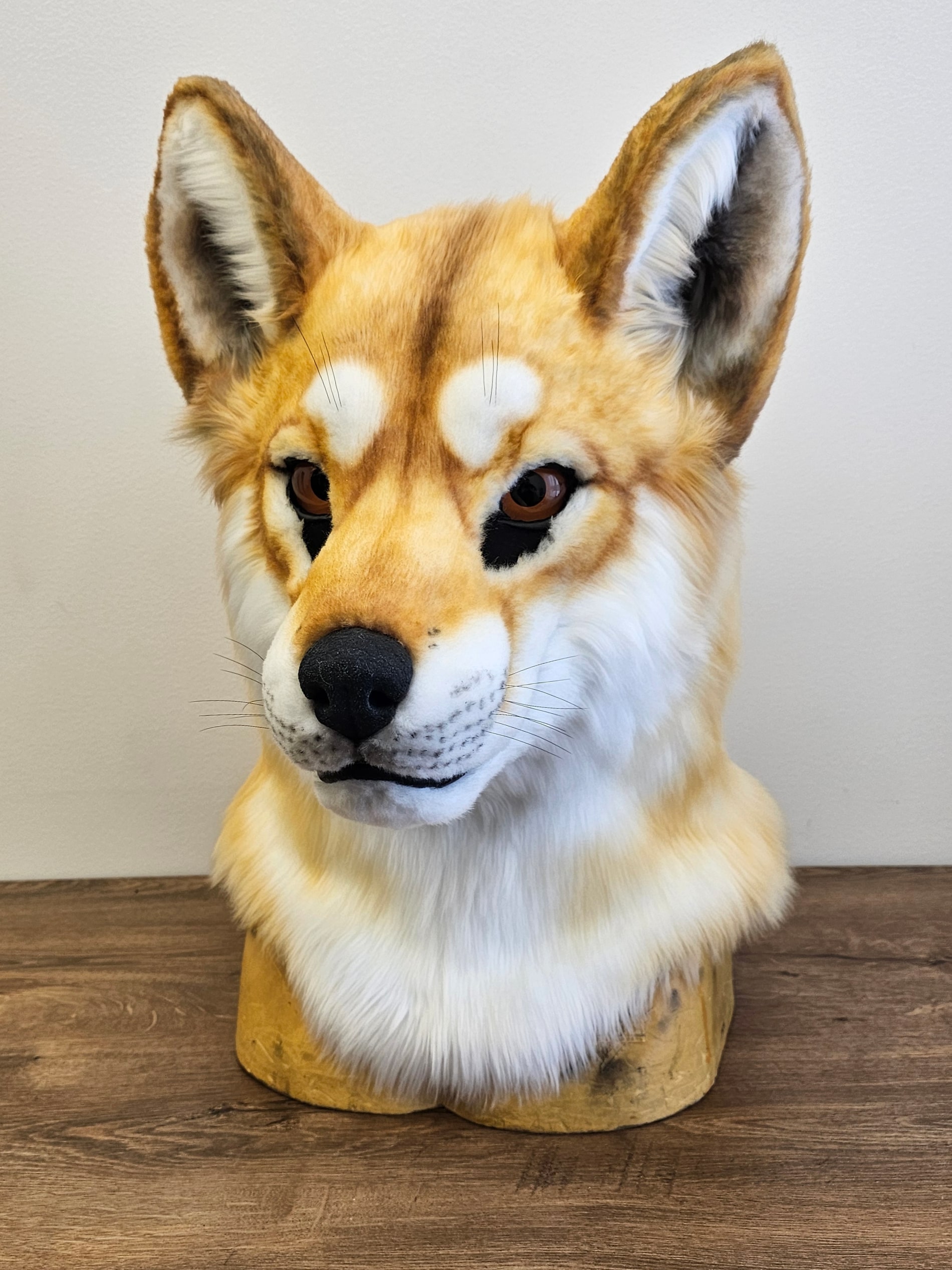 Dingo Wolf Fursuit Head - Image 9