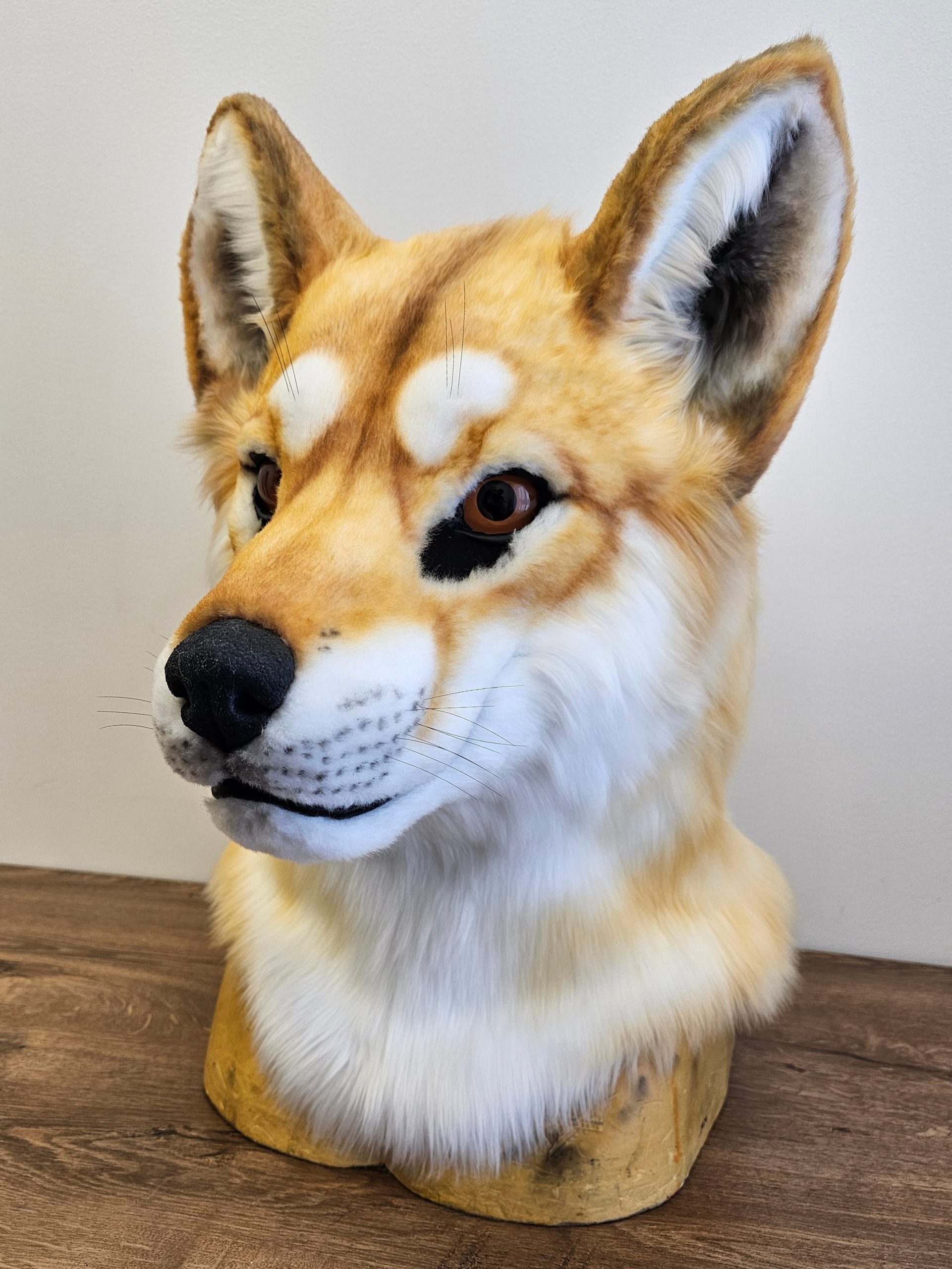 Dingo Wolf Fursuit Head - Image 10