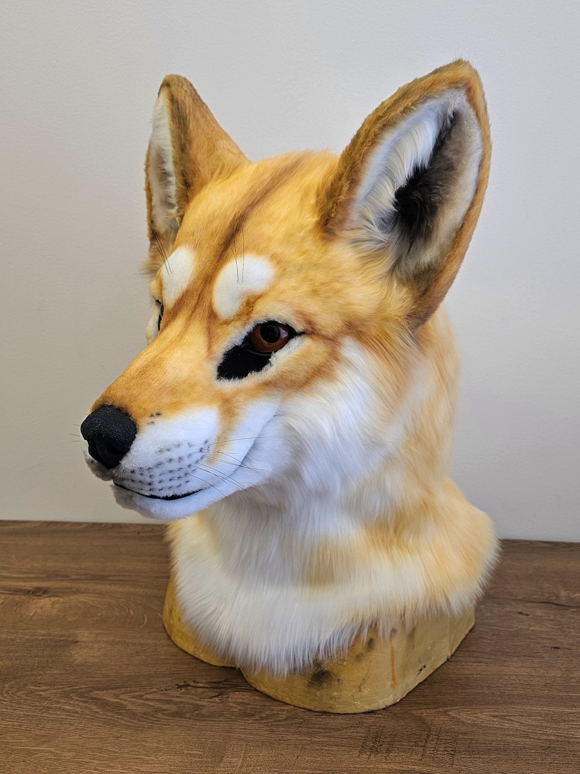 Dingo Wolf Fursuit Head - Image 11